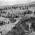 Professor Naville 1913.jpg