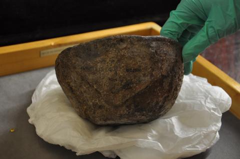 Faiyum Caton-Thompson 1920s