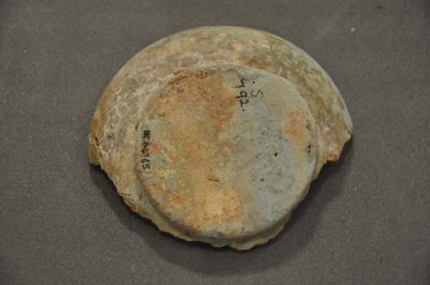 Saft el-Hinna (Petrie)